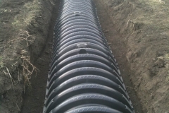 Septic